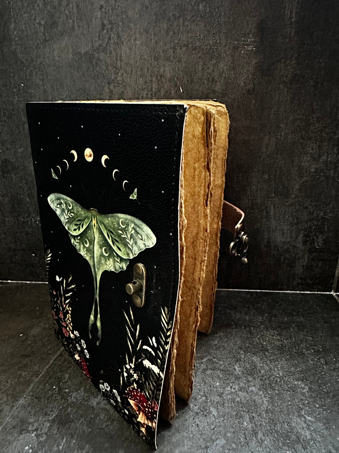 Luna Moth Journal