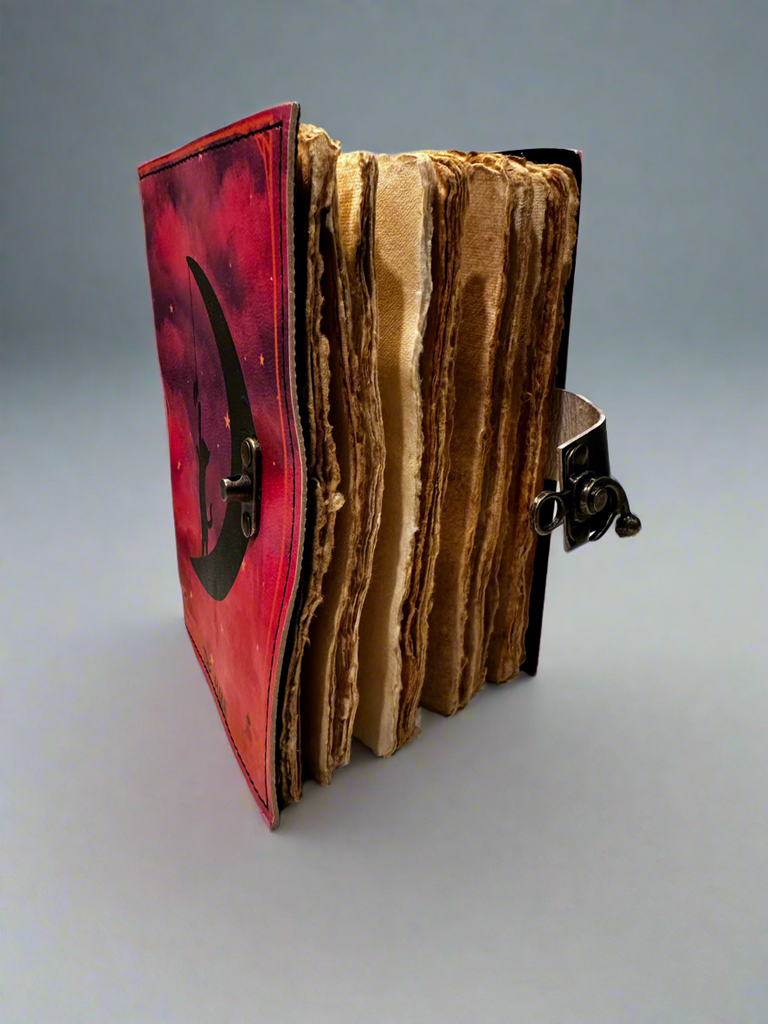 The Moon Journal
