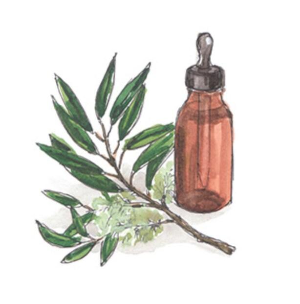 Essential Oil Blend - Sunlitsage